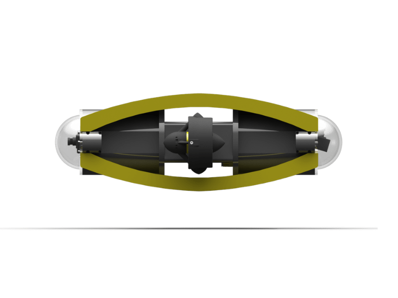 vampire squid ROV 01