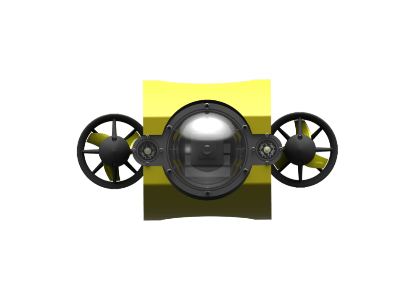 vampire squid ROV 02