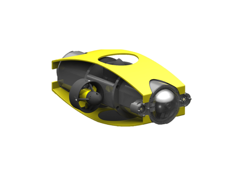 vampire squid ROV 03